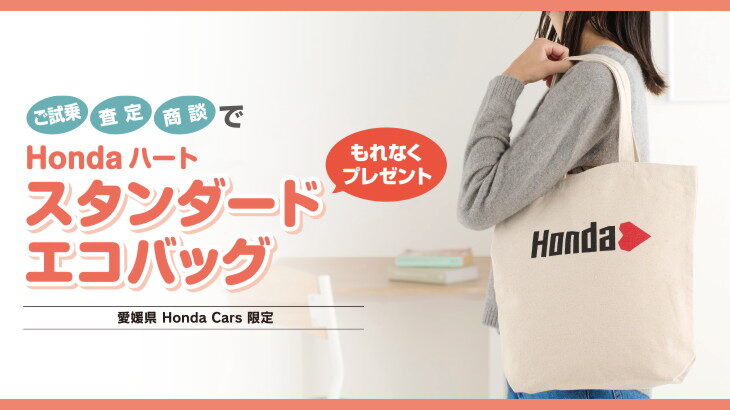 発売モデル HONDA エコバッグ 青 blog.expertsoftwareteam.com